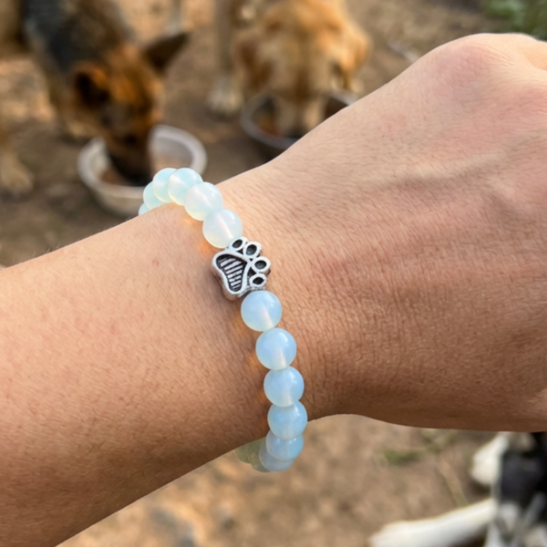 Misty with Misty's Bracelet