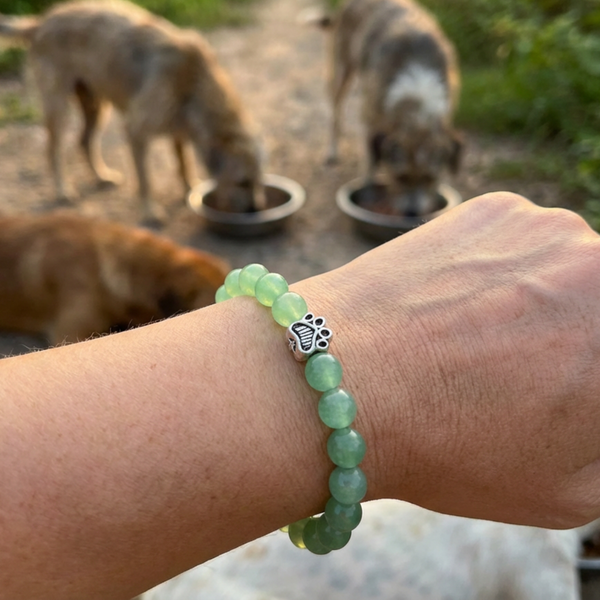 Olive with Olive's Bracelet