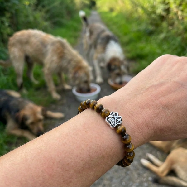 Leo with Leo's Bracelet