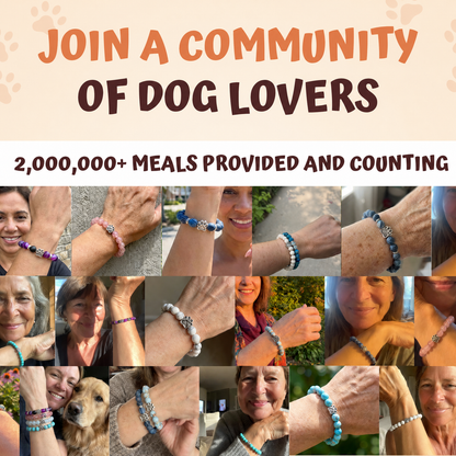 The Monthly Paws Club