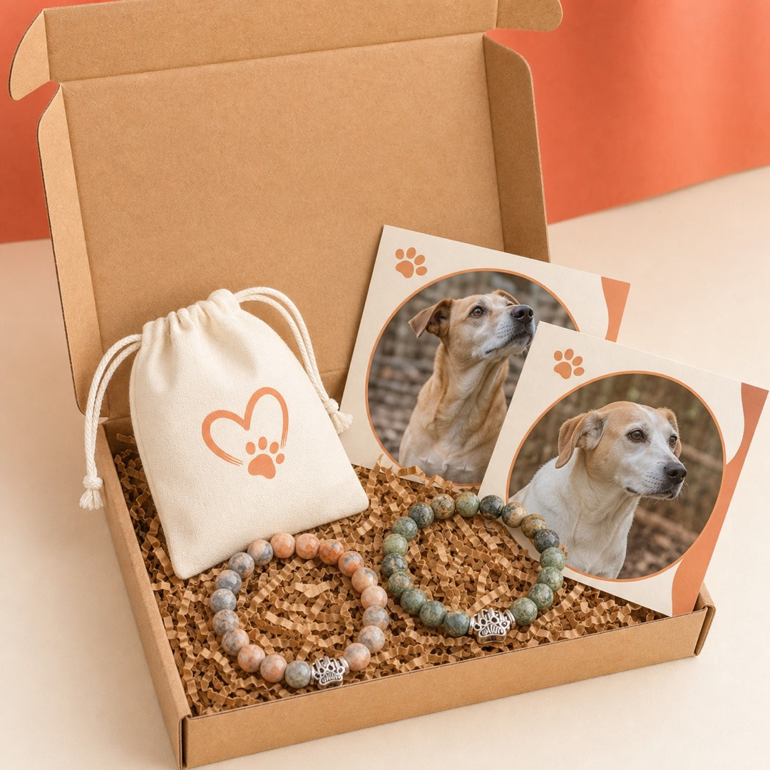 The Paw Pledge Club monthly box with two surprise bracelets and two dog story cards
