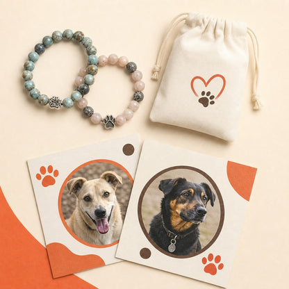 Two Paw Pledge bracelets and two dog story cards included in the monthly box