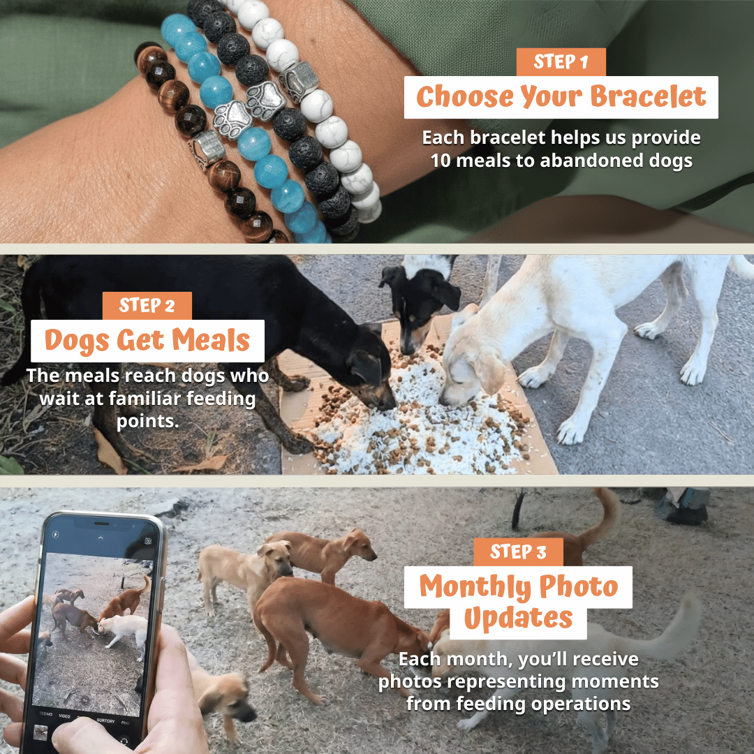 Belova Bracelet