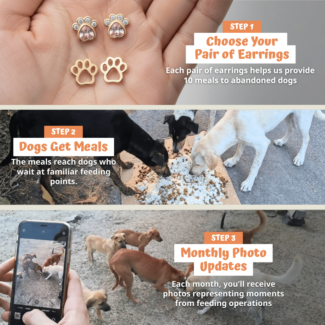 Radiant Paws Earrings
