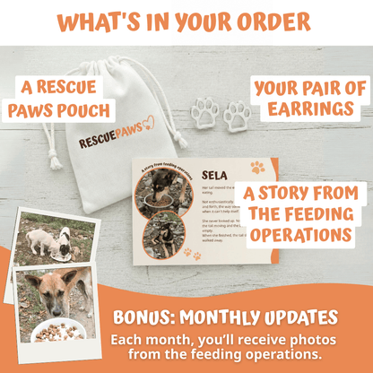 Radiant Paws Earrings