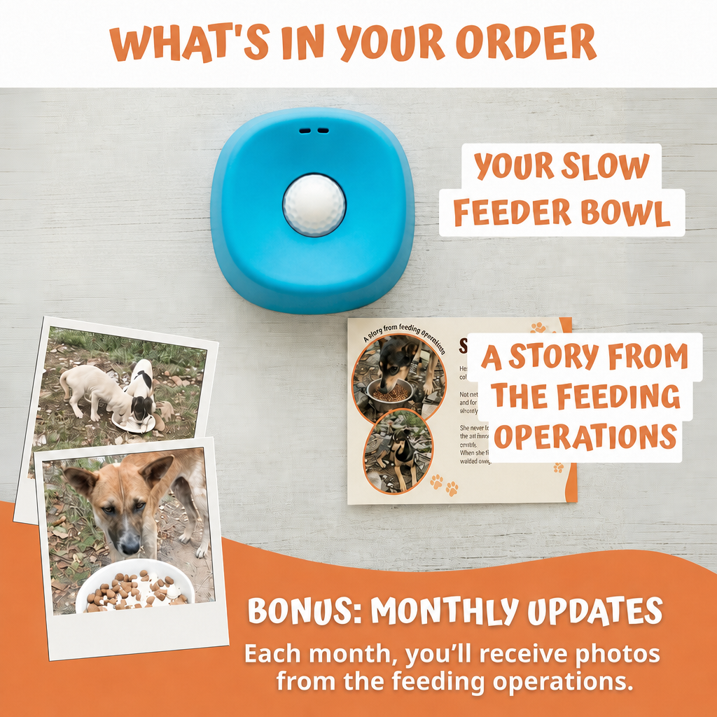 The 3-in-1 Slow Feeder Bowl